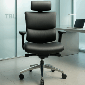 Fully Adjustable Orthopedic Office Chair
