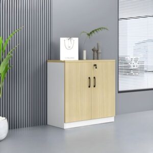 Sturdy Modern 2-Door Office Credenza