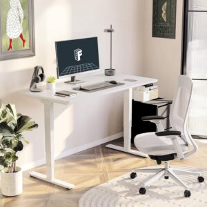 Premium Electric Standing Desk