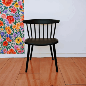 Modern Plastic Dining Chair