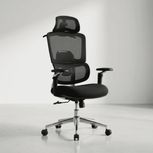Executive Orthopedic Office Chair
