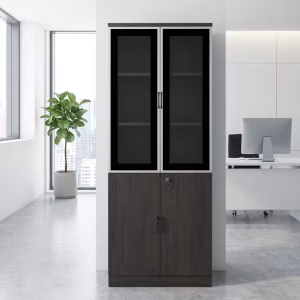 Modern Glass Office Cabinet with dark wood finish and lockable doors