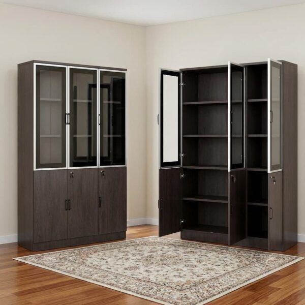 Modern Glass Door Bookcase - TBL Furniture