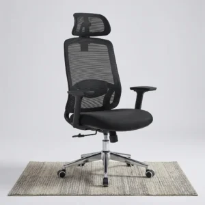Premium Reclining Mesh Chair with adjustable lumbar support, 2D armrests, reclining backrest, and ergonomic mesh office seating