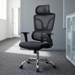 An all-black Double Back Support Ergonomic Chair featuring a split two-panel mesh backrest, adjustable headrest, flat T-armrests, and a polished chrome wheeled base.